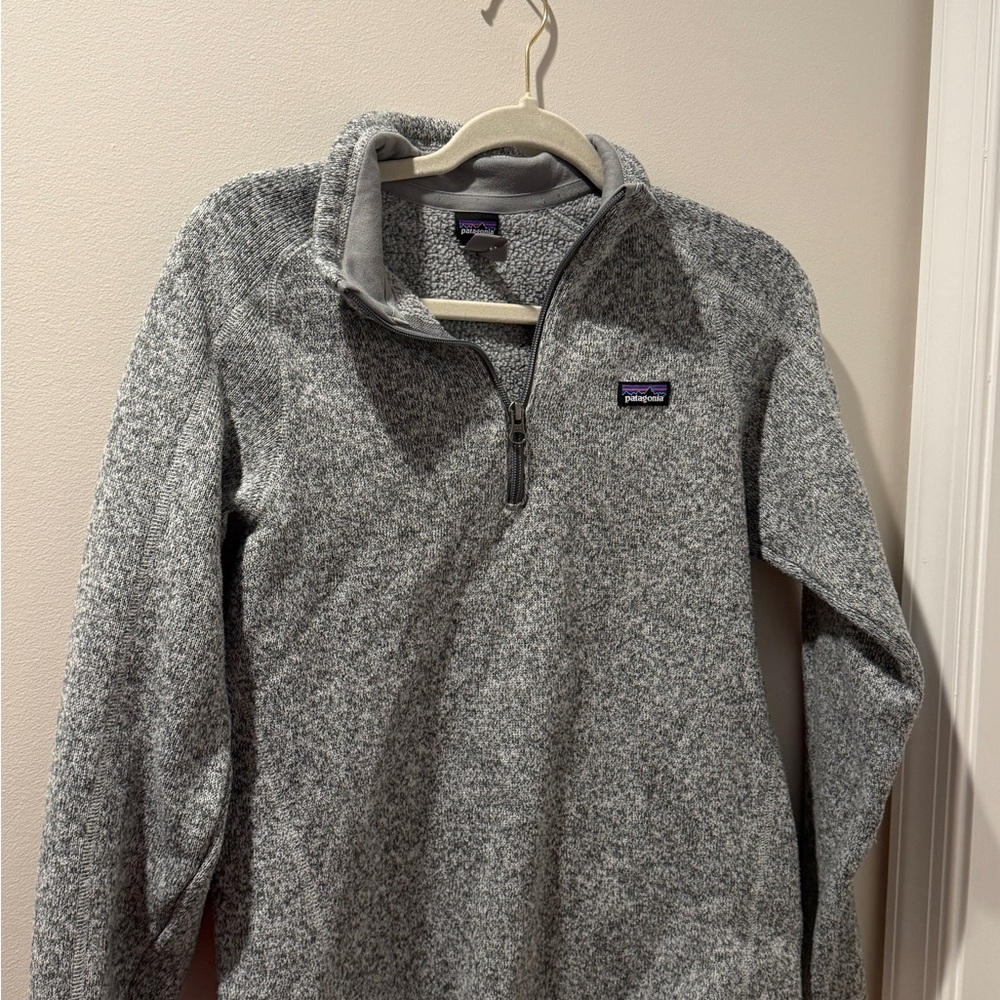 Patagonia Heather Gray Fleece Jacket